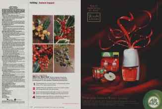 Better Homes & Gardens December 2010 Magazine Article: Page 128