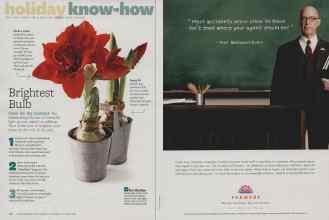 Better Homes & Gardens December 2010 Magazine Article: Page 146