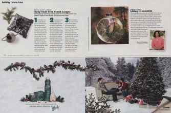 Better Homes & Gardens December 2010 Magazine Article: Page 152