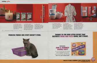 Better Homes & Gardens December 2010 Magazine Article: Page 160