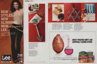 Better Homes & Gardens December 2010 Magazine Article: Page 162