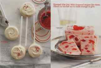 Better Homes & Gardens December 2010 Magazine Article: Page 182