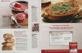 Better Homes & Gardens December 2010 Magazine Article: Page 216