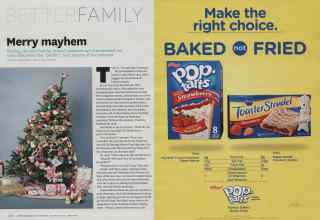 Better Homes & Gardens December 2010 Magazine Article: Page 262