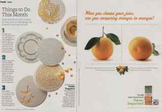 Better Homes & Gardens January 2011 Magazine Article: Page 16