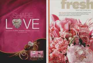 Better Homes & Gardens February 2011 Magazine Article: Page 18