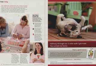 Better Homes & Gardens February 2011 Magazine Article: Page 32