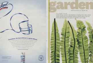 Better Homes & Gardens February 2011 Magazine Article: Page 88