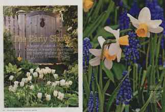 Better Homes & Gardens February 2011 Magazine Article: Page 90
