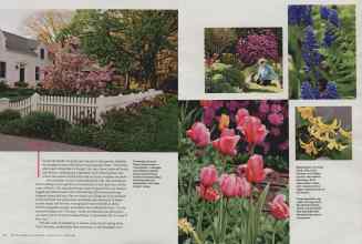 Better Homes & Gardens February 2011 Magazine Article: Page 92