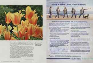 Better Homes & Gardens February 2011 Magazine Article: Page 94