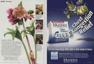 Better Homes & Gardens February 2011 Magazine Article: Page 100