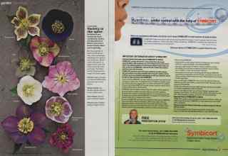 Better Homes & Gardens February 2011 Magazine Article: Page 102