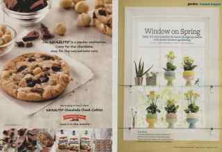 Better Homes & Gardens February 2011 Magazine Article: Page 106