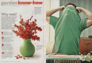 Better Homes & Gardens February 2011 Magazine Article: Page 116