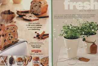 Better Homes & Gardens March 2011 Magazine Article: Page 16