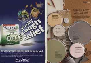 Better Homes & Gardens March 2011 Magazine Article: Page 42