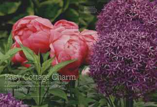 Better Homes & Gardens March 2011 Magazine Article: Page 82