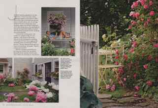 Better Homes & Gardens March 2011 Magazine Article: Page 84