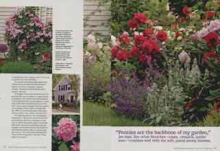 Better Homes & Gardens March 2011 Magazine Article: Page 86