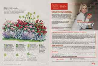 Better Homes & Gardens March 2011 Magazine Article: Page 88