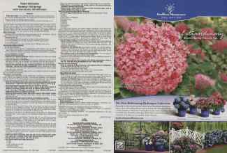 Better Homes & Gardens March 2011 Magazine Article: Page 98