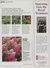 Better Homes & Gardens April 2011 Magazine Article: 3 Little Groundcovers That Thrive Under Trees
