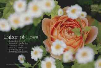 Better Homes & Gardens April 2011 Magazine Article: Page 34