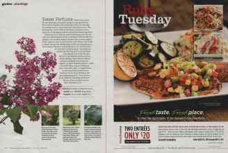 Better Homes & Gardens April 2011 Magazine Article: Page 60