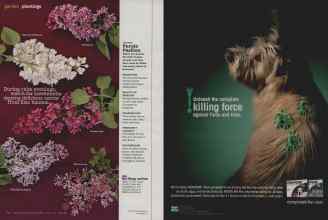 Better Homes & Gardens April 2011 Magazine Article: Page 62