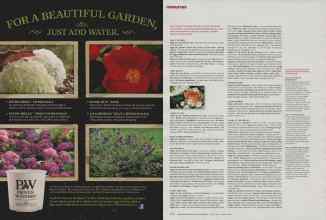 Better Homes & Gardens April 2011 Magazine Article: Page 215
