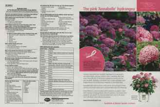 Better Homes & Gardens May 2011 Magazine Article: Page 72