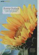 Better Homes & Gardens June 2011 Magazine Article: Sunny Outlook