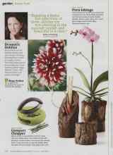 Better Homes & Gardens June 2011 Magazine Article: Fern-ishings