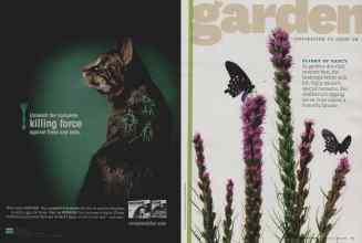 Better Homes & Gardens June 2011 Magazine Article: Page 82