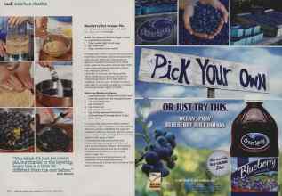 Better Homes & Gardens June 2011 Magazine Article: Page 162