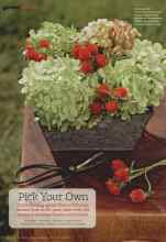 Better Homes & Gardens July 2011 Magazine Article: Pick Your Own
