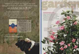 Better Homes & Gardens July 2011 Magazine Article: Page 62