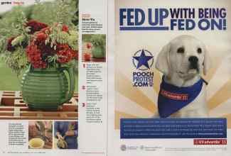 Better Homes & Gardens July 2011 Magazine Article: Page 76