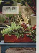 Better Homes & Gardens August 2011 Magazine Article: Hot Pots