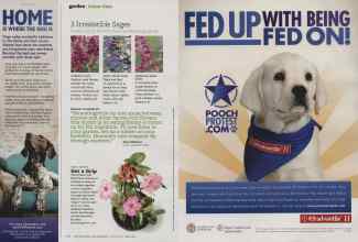 Better Homes & Gardens August 2011 Magazine Article: Page 116