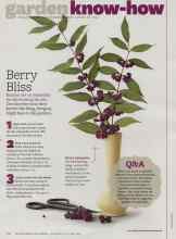 Better Homes & Gardens September 2011 Magazine Article: Berry Bliss