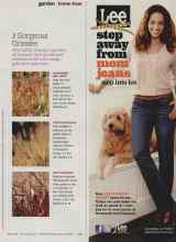 Better Homes & Gardens September 2011 Magazine Article: 3 Gorgeous Grasses