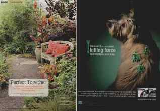 Better Homes & Gardens September 2011 Magazine Article: Page 122