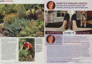 Better Homes & Gardens September 2011 Magazine Article: Page 126