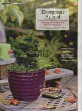Better Homes & Gardens October 2011 Magazine Article: Evergreen Appeal