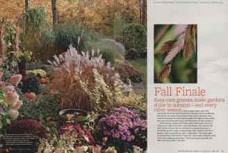 Better Homes & Gardens October 2011 Magazine Article: Page 98