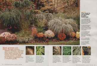 Better Homes & Gardens October 2011 Magazine Article: Page 100