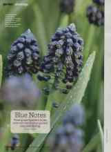 Better Homes & Gardens November 2011 Magazine Article: Blue Notes