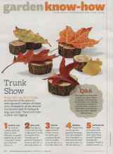 Better Homes & Gardens November 2011 Magazine Article: Trunk Show